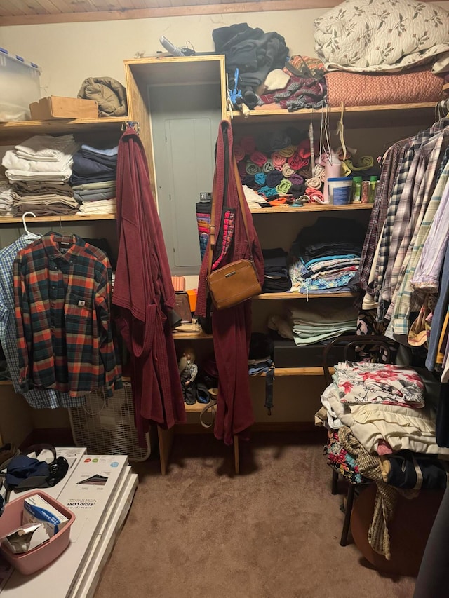 spacious closet featuring carpet floors