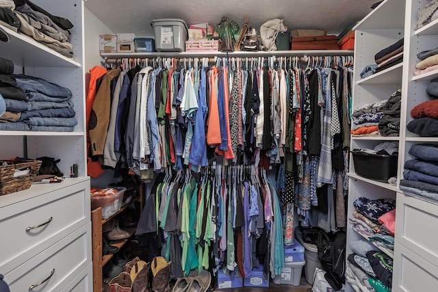 view of spacious closet