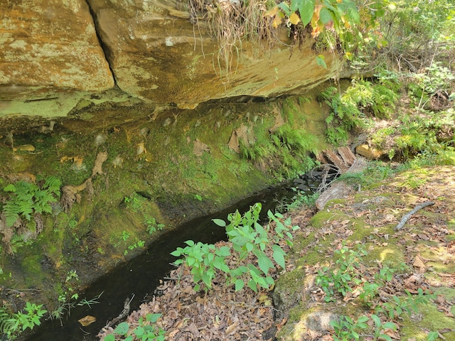 view of landscape