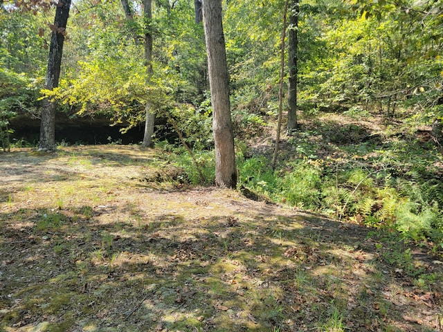 view of local wilderness with a view of trees