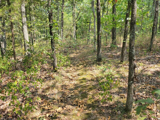 view of landscape with a forest view