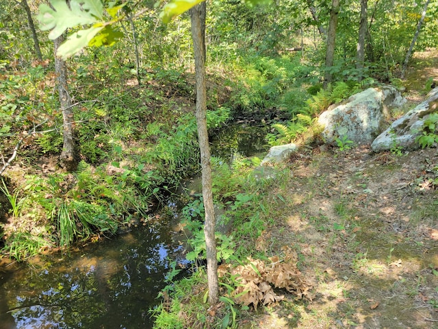 view of nature featuring a view of trees