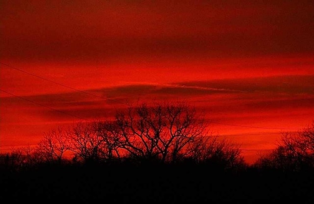 view of nature at dusk