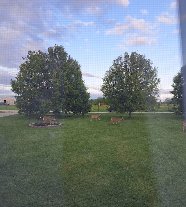 view of yard at dusk