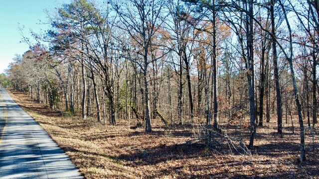 000 H Hwy, Ellsinor MO, 63937 land for sale