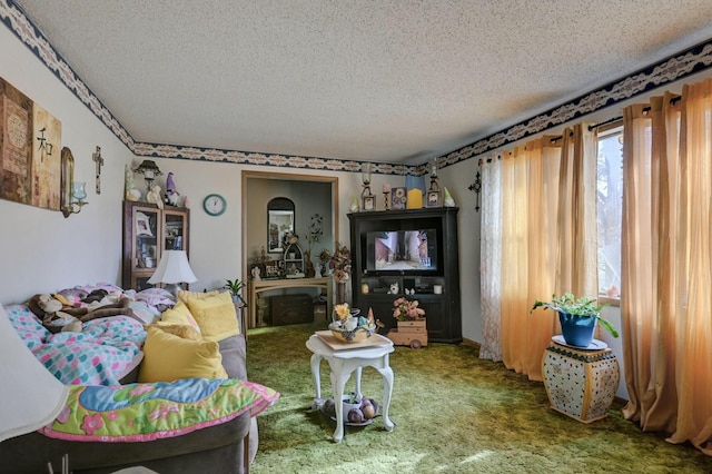 carpeted living room with a textured ceiling