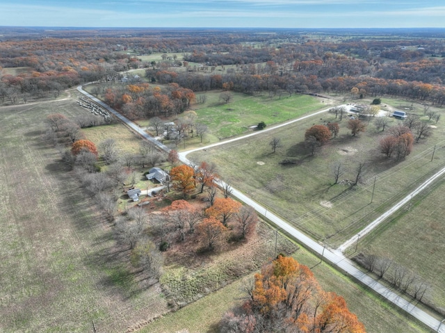 drone / aerial view featuring a rural view