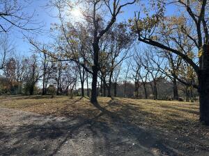 312 E Maple St, West Plains, MO 65775 - view of yard