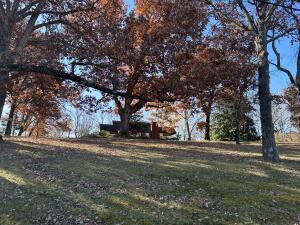 312 E Maple St, West Plains, MO 65775 - view of grassy yard
