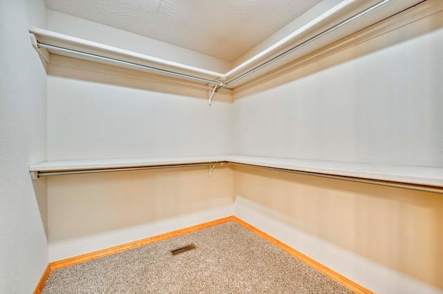 spacious closet with carpet floors