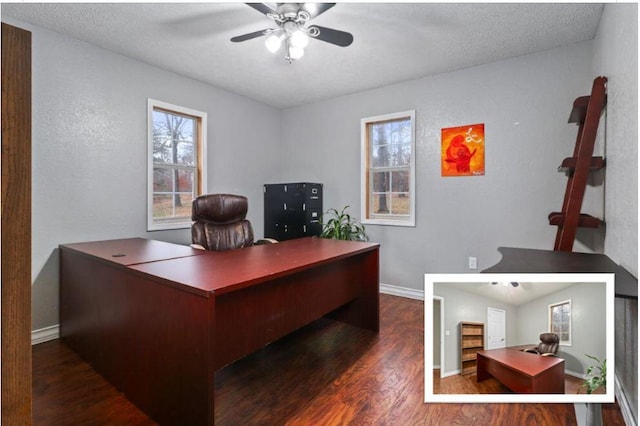 home office with ceiling fan, dark hardwood / wood-style flooring, and a textured ceiling