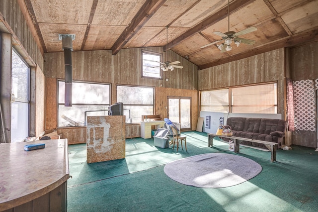 4319 S Duquesne Rd, Joplin, MO 64804 - photo 20