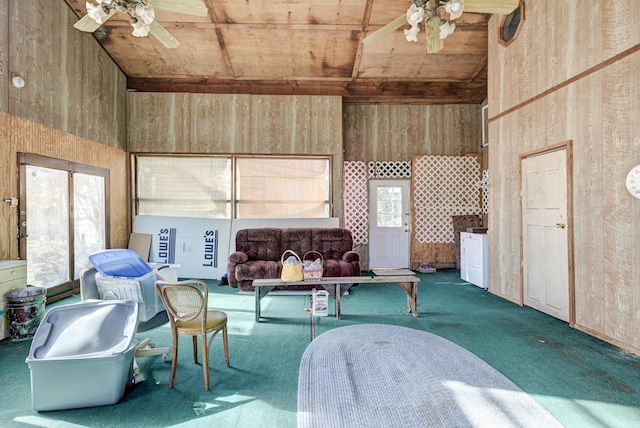 4319 S Duquesne Rd, Joplin, MO 64804 - photo 21