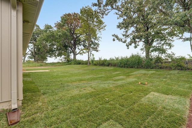 view of yard