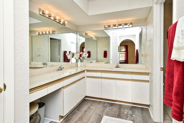 bathroom with hardwood / wood-style floors and vanity