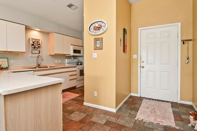 kitchen with electric range and sink