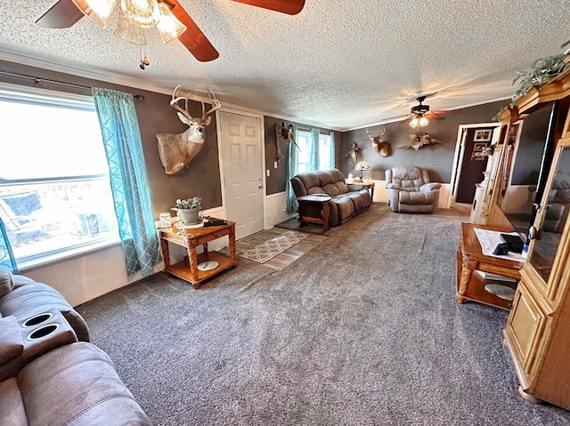 carpeted living room with ceiling fan, a wealth of natural light, and a textured ceiling