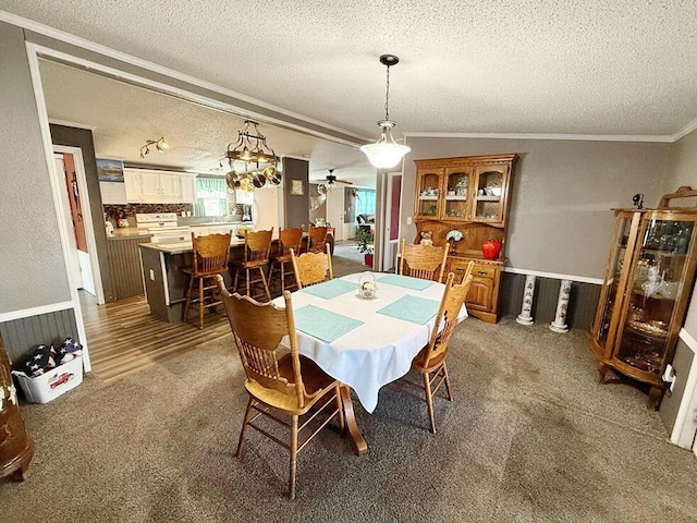 carpeted dining room with crown molding, ceiling fan, and a textured ceiling