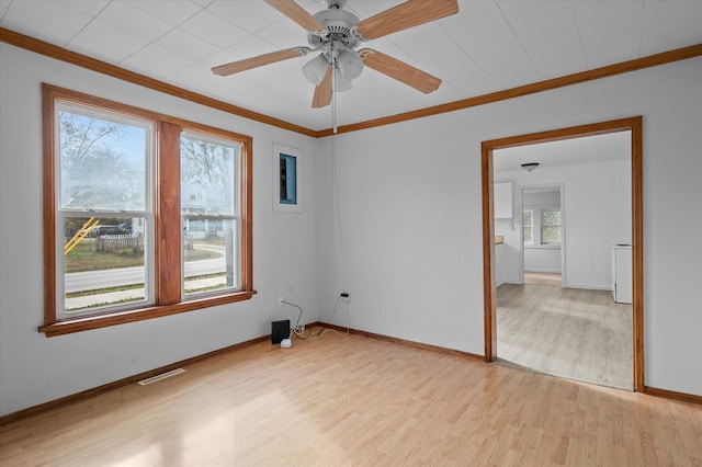 spare room featuring light wood-type flooring, ceiling fan, and ornamental molding