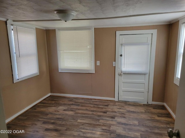 entrance foyer featuring dark wood-type flooring and plenty of natural light