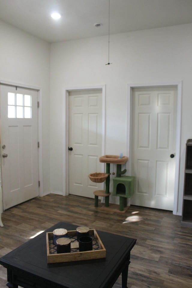 foyer entrance with dark hardwood / wood-style flooring