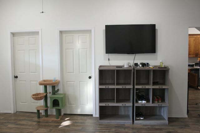 interior space with dark hardwood / wood-style flooring