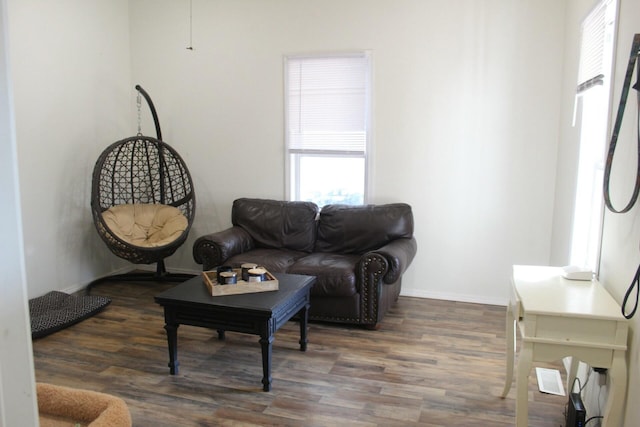 living room featuring dark hardwood / wood-style floors