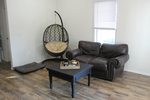 living room featuring dark hardwood / wood-style flooring