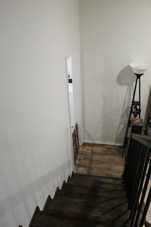 stairs with hardwood / wood-style flooring