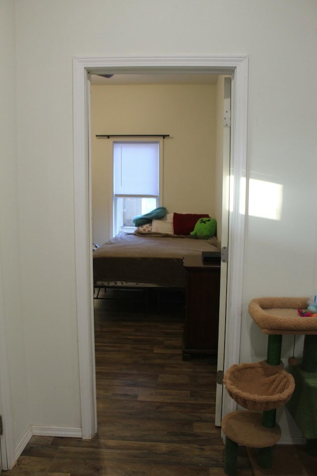 corridor featuring dark hardwood / wood-style flooring