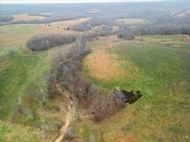 000 County Road 7040, Caulfield, MO 65626 - photo 12