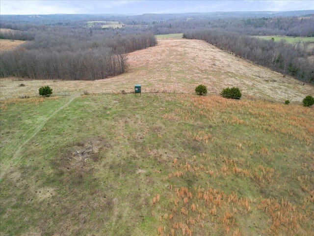 000 County Road 7040, Caulfield, MO 65626 - photo 18