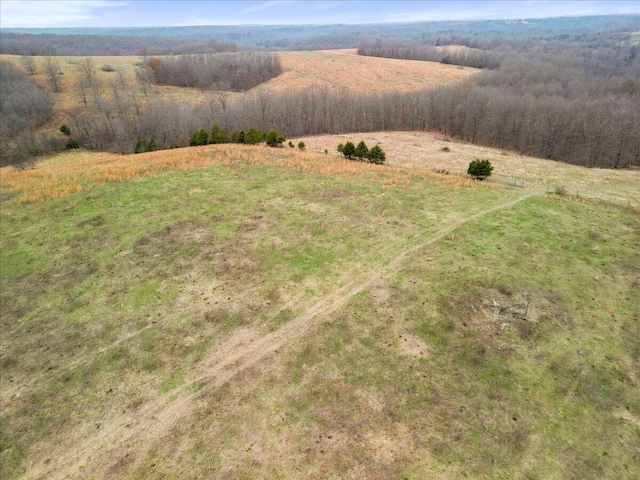 000 County Road 7040, Caulfield, MO 65626 - photo 13