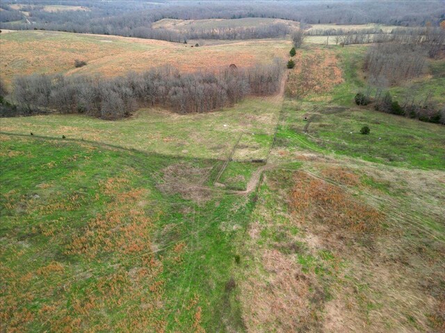 000 County Road 7040, Caulfield, MO 65626 - photo 35
