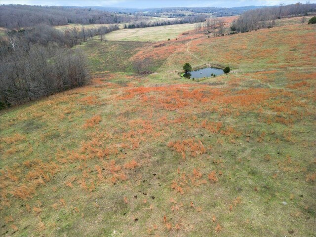 000 County Road 7040, Caulfield, MO 65626 - photo 17