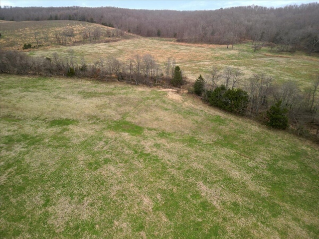 000 County Road 7040, Caulfield, MO 65626 - photo 22