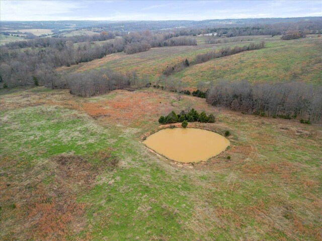 000 County Road 7040, Caulfield, MO 65626 - photo 23