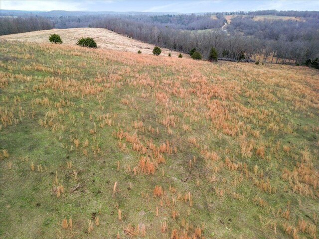 000 County Road 7040, Caulfield, MO 65626 - photo 27