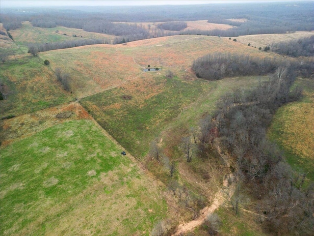 000 County Road 7040, Caulfield, MO 65626 - photo 9