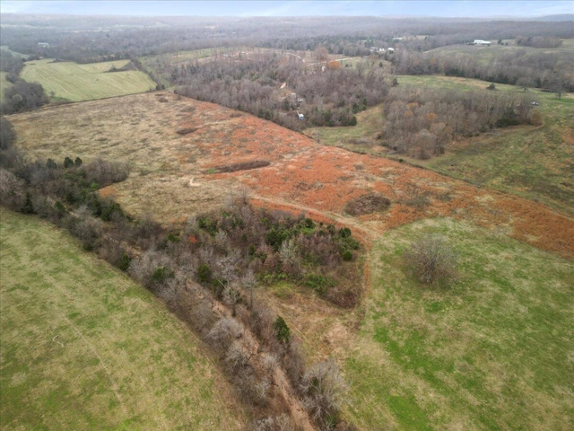 000 County Road 7040, Caulfield, MO 65626 - photo 10