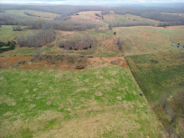 000 County Road 7040, Caulfield, MO 65626 - photo 11