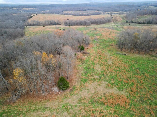 000 County Road 7040, Caulfield, MO 65626 - photo 26