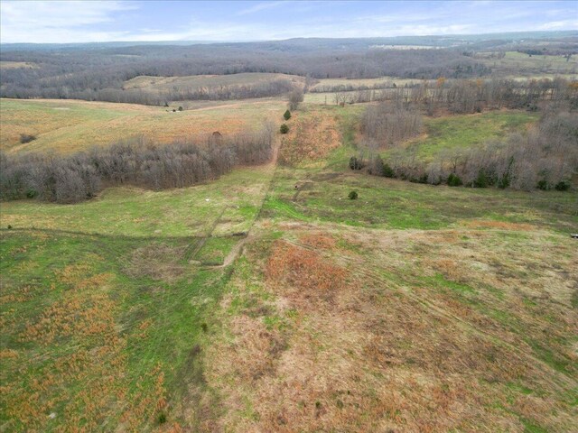 000 County Road 7040, Caulfield, MO 65626 - photo 24