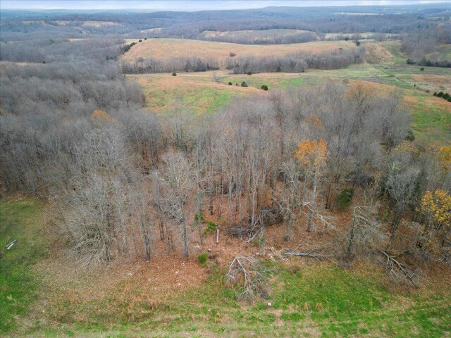000 County Road 7040, Caulfield, MO 65626 - photo 34