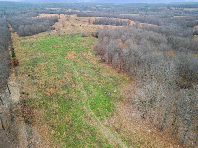 000 County Road 7040, Caulfield, MO 65626 - photo 15