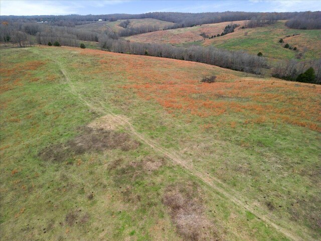 000 County Road 7040, Caulfield, MO 65626 - photo 28