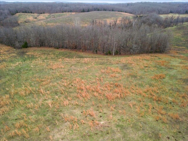 000 County Road 7040, Caulfield, MO 65626 - photo 25