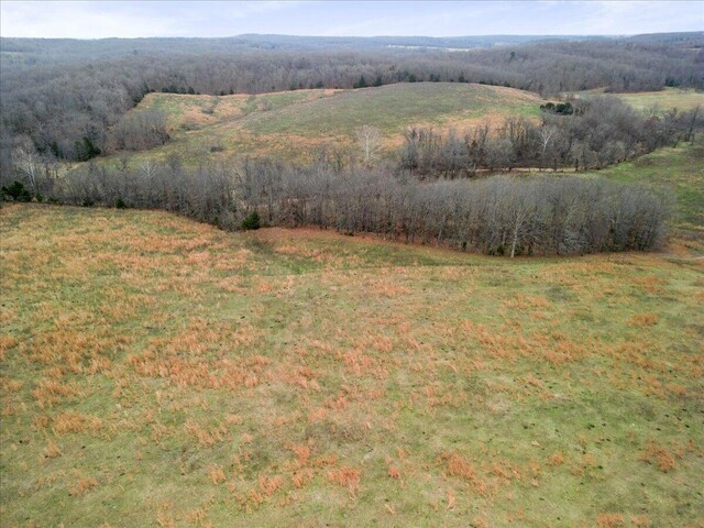 000 County Road 7040, Caulfield, MO 65626 - photo 36