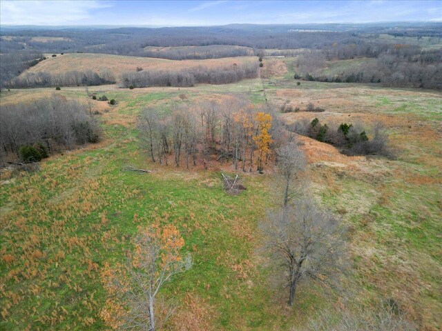 000 County Road 7040, Caulfield, MO 65626 - photo 14