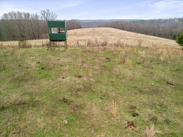 000 County Road 7040, Caulfield, MO 65626 - photo 7